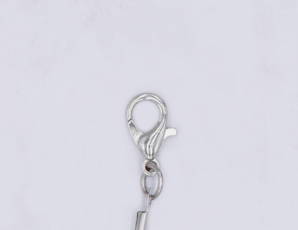 Stainless Steel Ear Wires or Clasps