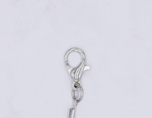 Stainless Steel Ear Wires or Clasps